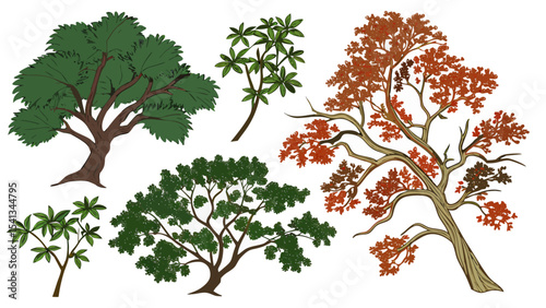 Vector art of a collection of lush green and fiery orange trees, isolated on transparent background
