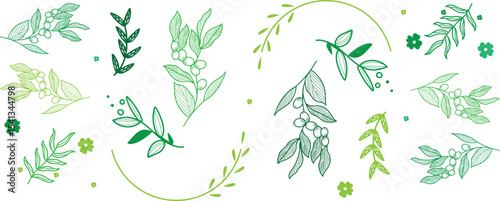 Flowers and Leaves Design Elements