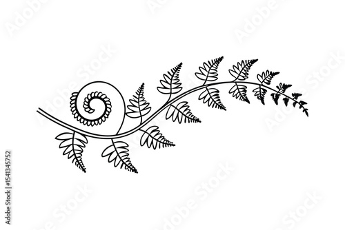 Elegant minimalist fern leaf with swirl in black and white isolated on white background