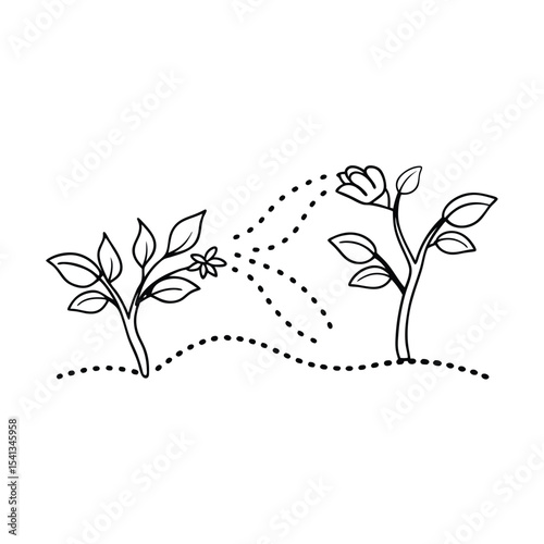 Hand drawn illustration of growing plants with dotted line showing growth and connection