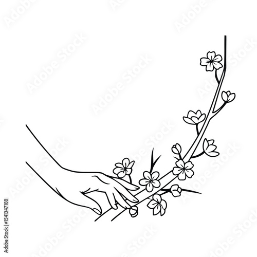 Delicate hand touching cherry blossom branch line art floral design illustration