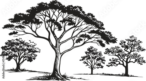 Vector art of silhouetted trees stand isolated on transparent background, their stark branches reaching towards a bright sky