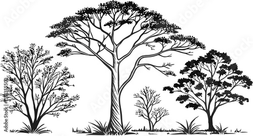 Vector art of silhouette of four trees isolated on transparent background, showcasing varying heights and textures