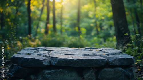 A rugged stone table stands in a sun-dappled forest, perfect for showcasing natural beauty. Embrace nature's charm with stone's rustic elegance.
