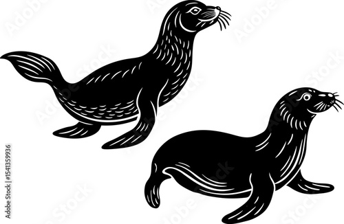 A sea lion balancing a ball, isolated on a white background