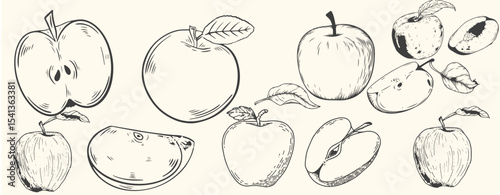 Hand-drawn vintage apple illustration set includes whole apples, sliced apples, and apple branches with leaves.