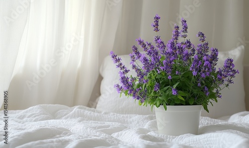 A cozy bedroom image with soft white bedding, minimalist white-toned decor, and a small bedside table holding a vibrant lavender plant in full bloom