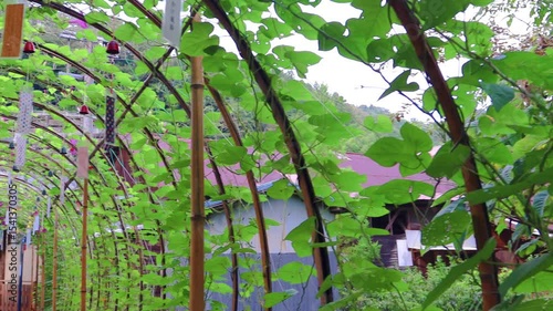  夏風に揺れる南部風鈴のアーチ（南部風鈴）track 