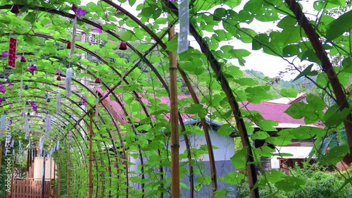  夏風に揺れる南部風鈴のアーチ（南部風鈴）track 