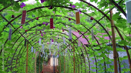  夏風に揺れる南部風鈴のアーチ（南部風鈴）track 
