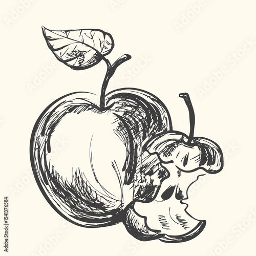 Hand-drawn vintage apple illustration set includes whole apples, sliced apples, and apple branches with leaves.