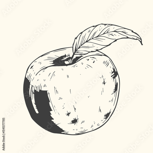 Hand-drawn vintage apple illustration set includes whole apples, sliced apples, and apple branches with leaves.