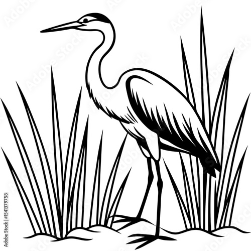 Heron Standing in Marsh Reeds with Long Legs and Beak – Elegant Line Art