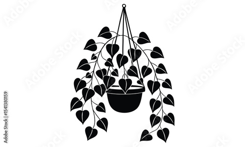 Black and white illustration of a hanging heart leaf plant