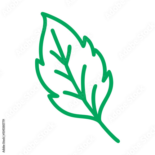 Stevia leaf vector art.