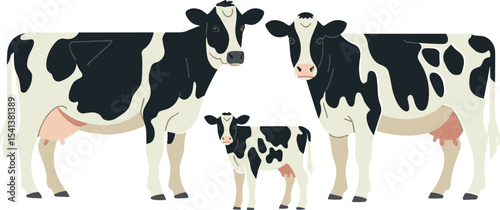 Holstein cows and calf illustration, dairy farm animals cartoon, black and white cattle, livestock family group, isolated on white background