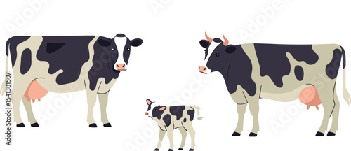 Holstein cows and calf illustration, dairy cattle farm animals, black and white cows, livestock cartoon, milk production concept, isolated