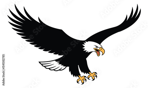 american bald eagle