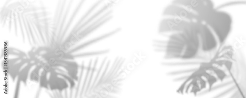 Soft palm shadow overlay on white background - botanical monstera and tropical leaf silhouettes in subtle shade pattern for product photo backdrops, minimalist web design or spa wellness branding.