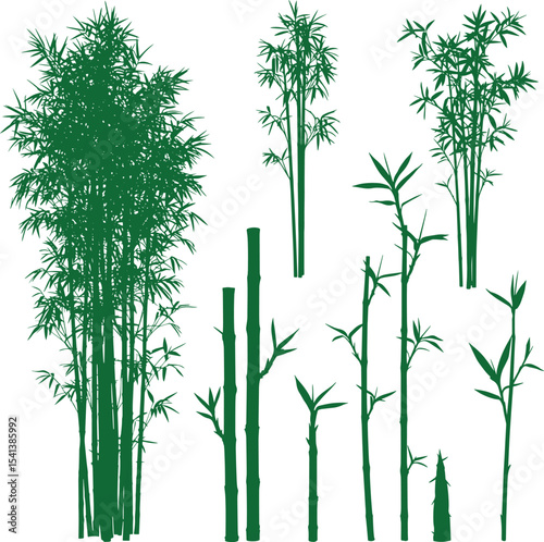Collection of Green Bamboo Silhouettes Various Sizes and Styles for Design