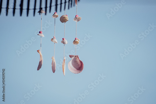 A gentle seashell wind chime made with natural shell pieces strung on clear threads. Its simple, handcrafted form sways gracefully in the light, perfect for relaxing and coastal-themed visuals