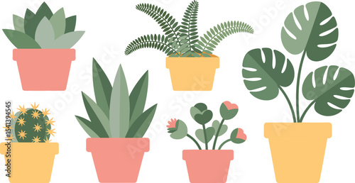 Five potted plants minimalist vector illustration succulents cactus fern monstera