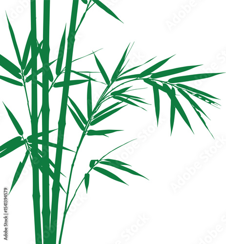 Serene Green Bamboo Illustration Elegant Nature Design