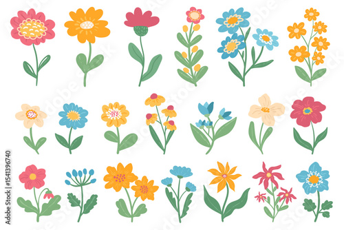 Set of spring hand drawn flowers. Romantic wildflower plants collection. Cute blossom floral elements, clipart set on white background. 