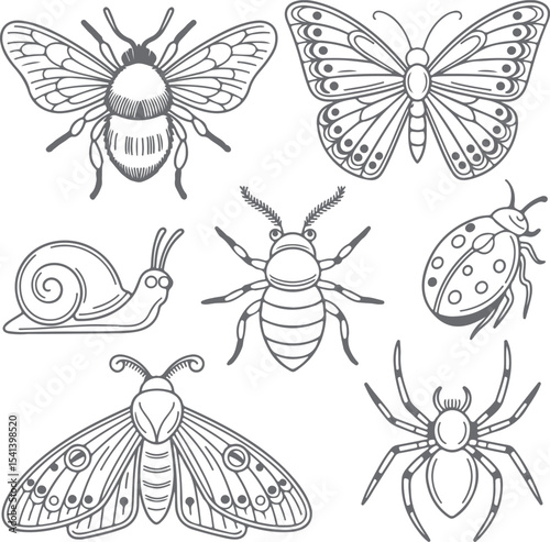 Gray Scale Insect Silhouette Collection Bumblebee Butterfly Moth Snail Ladybug Spider and Beetle Line 