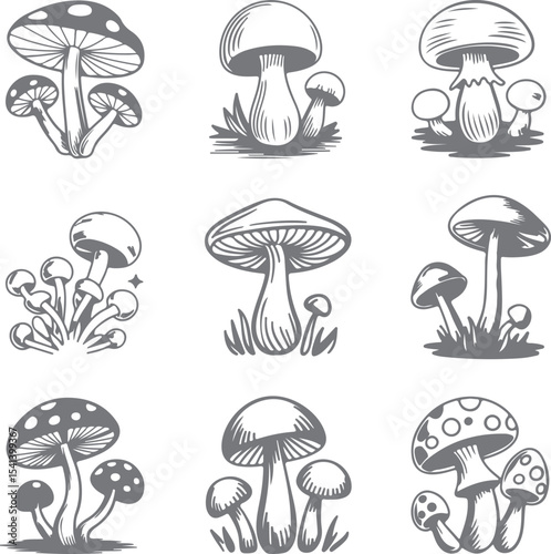 Nine Gray Scale Mushroom Silhouette Illustrations Various Types and Sizes Hand Drawn Style Botanical Set