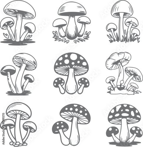 Nine Gray Scale Mushroom Silhouettes Various Styles Groups Clusters Single Fungi Nature Botany Illustration Set