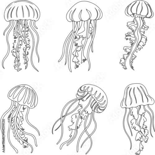 Six Gray Silhouette Jellyfish Illustrations Aquatic Ocean Life Sea Creatures Marine Animals Underwater World Design Elements Graphic Art Print