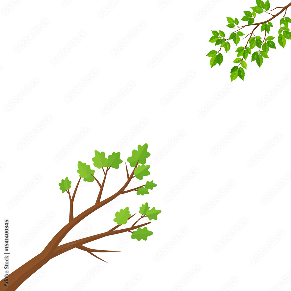 Obraz premium Green leaves on white background 