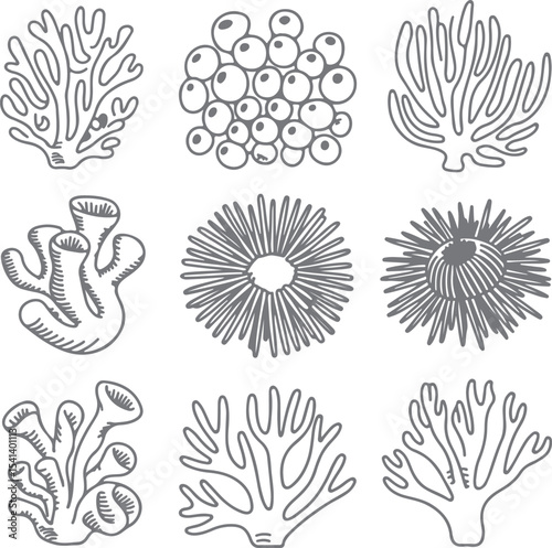 Nine Gray Scale Hand Drawn Ocean Coral Reef Sea Life Illustrations Silhouette Set Underwater Marine Biology Nature Graphic Design Elements