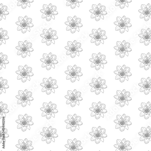 many detailed flowers for use as fabric texture or background, depicted on a white isolated background