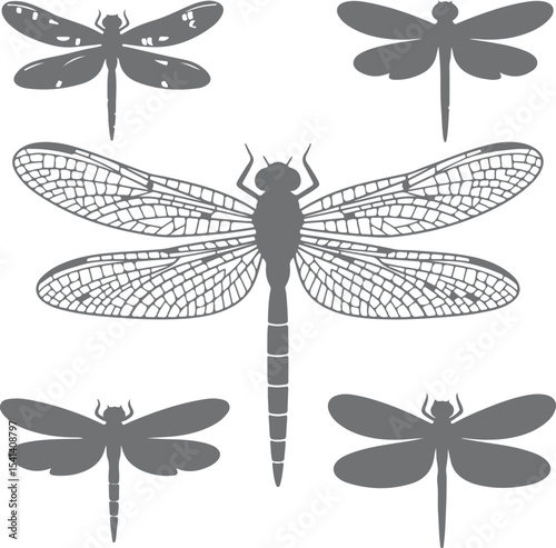 Five Gray Dragonfly Silhouettes Detailed Wing Veins Large Central Dragonfly Smaller Dragonflies Simple Design Nature Insect Vector Graphic