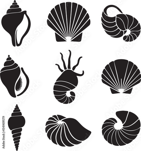 Nine Black Silhouette Seashells Nautical Ocean Collection Graphic Design Elements Vector Illustration