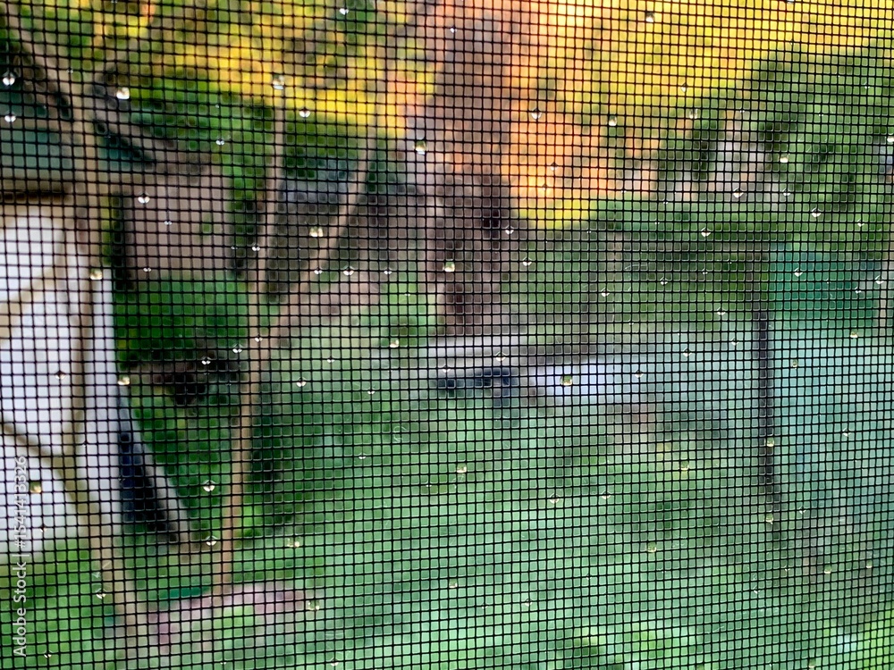 Ταπετσαρία Raindrops cling to a window screen, blurring the view of a backyard filled with lush greenery and hints of autumn colors from nearby trees