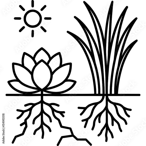 Drought-resistant plants outline icon vector