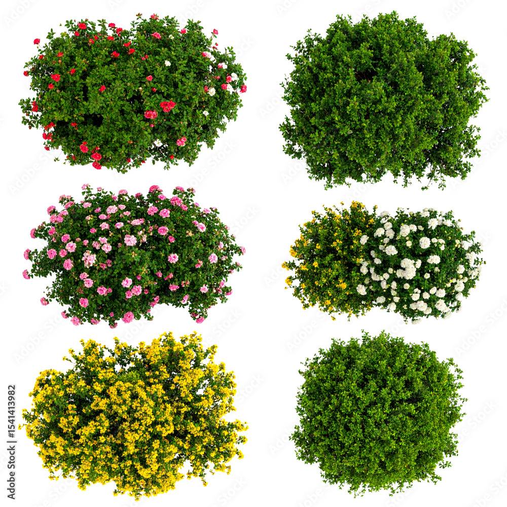Fototapeta premium Isolated green trees and leafy plants are perfect for nature, garden, and forest environment designs, evoking summer growth and spring foliage