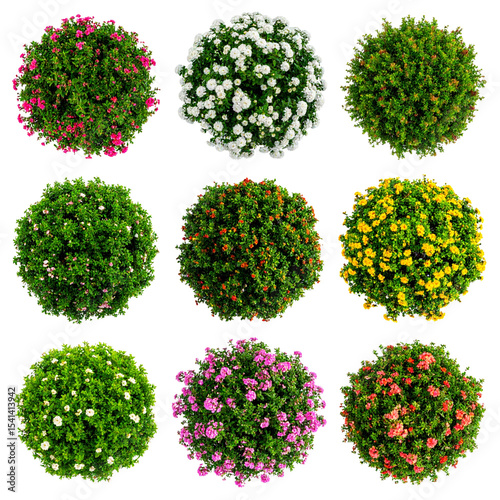 Isolated green trees and leafy plants are perfect for nature, garden, and forest environment designs, evoking summer growth and spring foliage