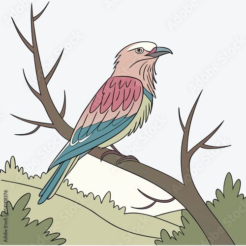 bird vector 