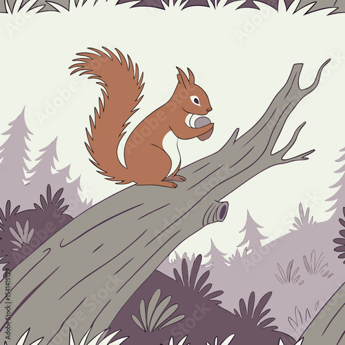 Photorealistic red squirrel illustration vector graphic