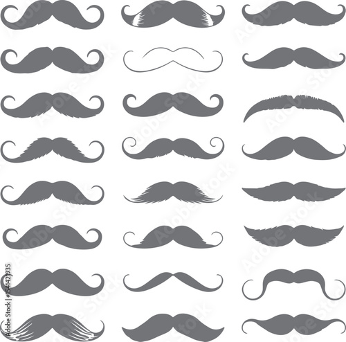 Collection of Gray Mustache Silhouettes Various Styles and Shapes Set of Twenty Four Different Mustaches Isolated on White Background