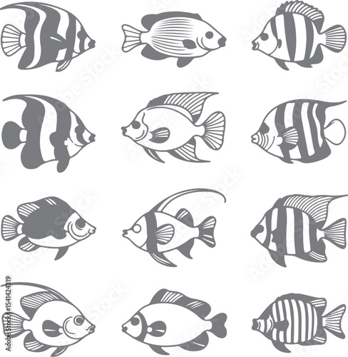 Twelve Gray and White Fish Silhouettes Collection Tropical Marine Life Angelfish Butterflyfish Aquatic Animals Set Graphic Design Elements