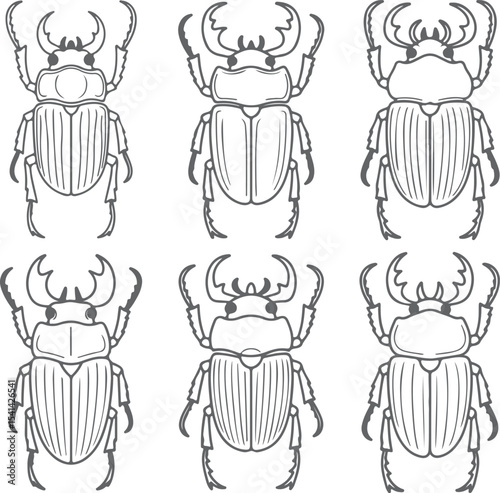 Six Gray Silhouette Drawings of Rhinoceros Beetles Detailed Line Art Illustrations Insect Collection Entomology Study Guide