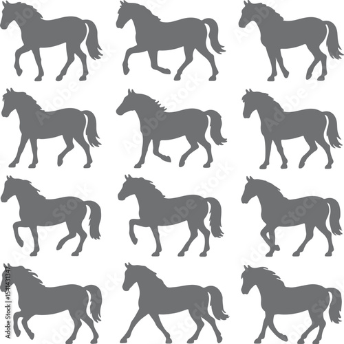 Twelve Gray Horse Silhouettes Walking in Various Gaits on White Background Equine Animal Illustrations Set