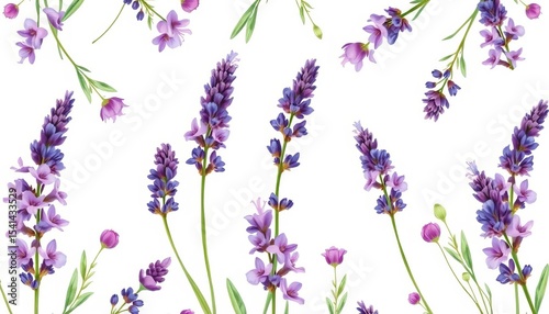 Watercolor lavender wildflowers arranged in a repeating pattern ideal for backgrounds, wrapping paper, or frames,  texture,  plant
