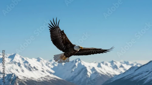 Majestic Bald Eagle Soaring Above Snow-Capped Mountains: A Wildlife Adventure Scenic Flight