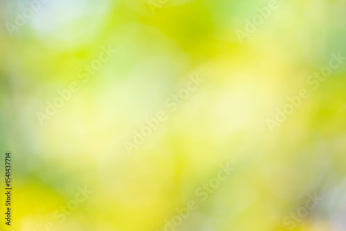 Soft Abstract Background with Gentle Bokeh of Yellow and Green Hues